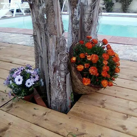 Ca'pippo Maison d'hôtes *